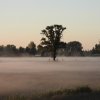polderlakerveld1ekailexmond15052020 2